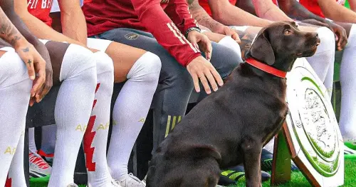 Six famous sporting animals as Arsenal's dog 'Win' proves lucky omen for Gunners