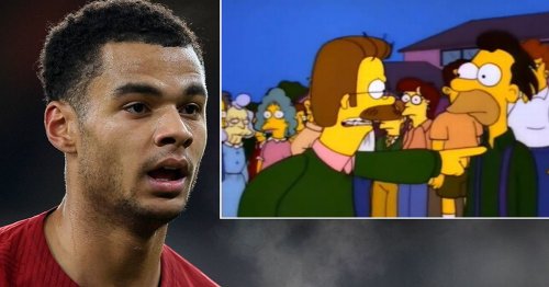 Liverpool fans already turning on Gakpo - in style of meme from The Simpsons