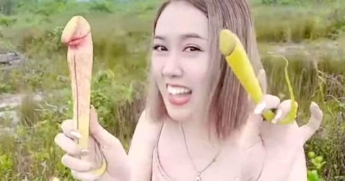 Sex-mad tourists told to stop playing with 'penis plants' as they 'compare size'