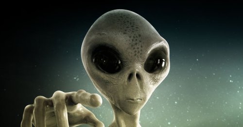 World has no 'take me to your leader' plan for when aliens make contact – expert