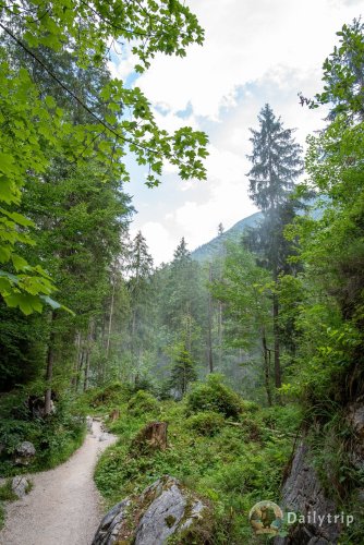 Zauberwald am Hintersee: Ein gemütlicher Tagesausflug im Berchtesgadener Land