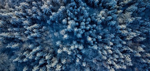 München Sehenswürdigkeiten im Winter: Die Top 10 Aktivitäten in der kalten Jahreszeit