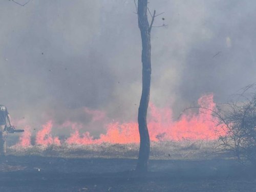 Brush Fire Spreads Near Gaithersburg Roadway, Crews Battle Flames In Maryland (DEVELOPING)