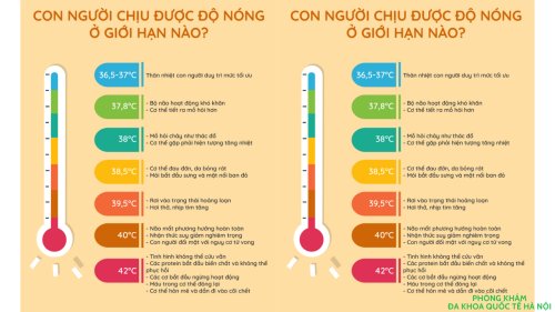 Hướng dẫn cách theo dõi nhiệt độ cơ thể hàng ngày