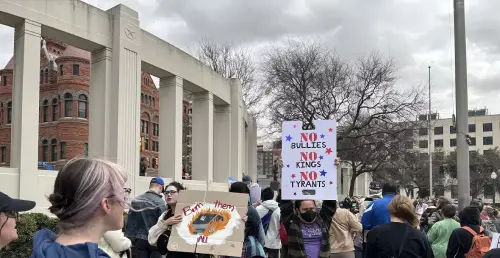 Scenes from Dallas Protests Involving Feral Cats, White People and President Trump