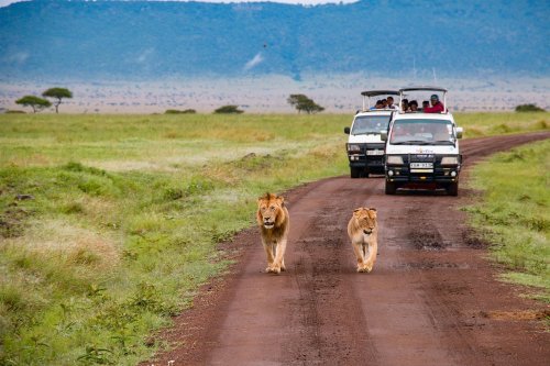 Safari in Kenya come Ilary: dimentica il tuo Totti ma non il visto!