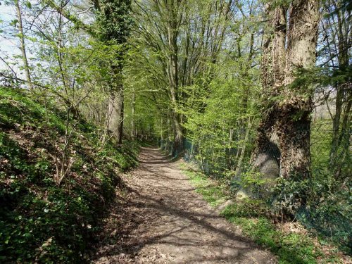 Bauernhofweg: Bergischer Streifzug 18