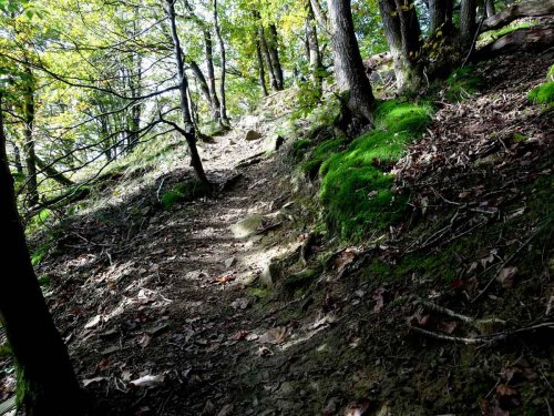 Wandern/Hiking cover image