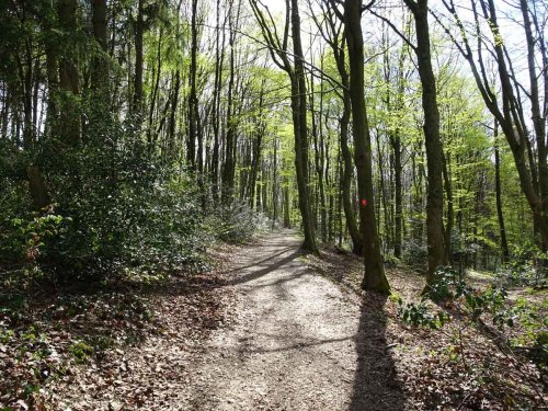 Bergbauweg: Bergischer Streifzug 15