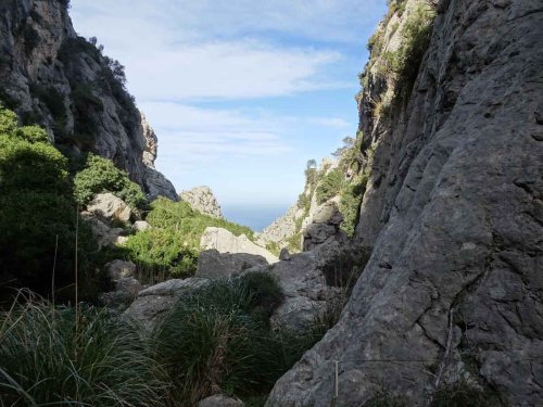 Wandern auf Mallorca: Die Schlucht Torrent de Mortitx - Das fliegende Klassenzimmer