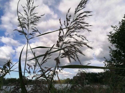 Radreise Mecklenburgische Seenplatte