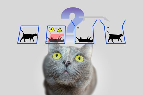 A Review of the Best Quantum Computing Courses for All Skill Levels