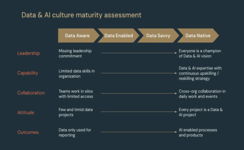 Enhancing your team’s performance by building a data culture