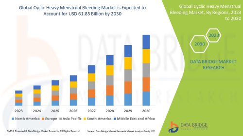 Cyclic Heavy Menstrual Bleeding Market Trends, Key Players, Demand, Opportunities, & Forecast By 2030