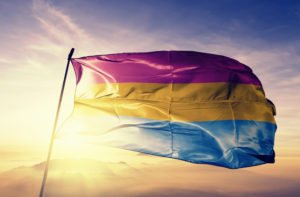 What is a Pansexuality?