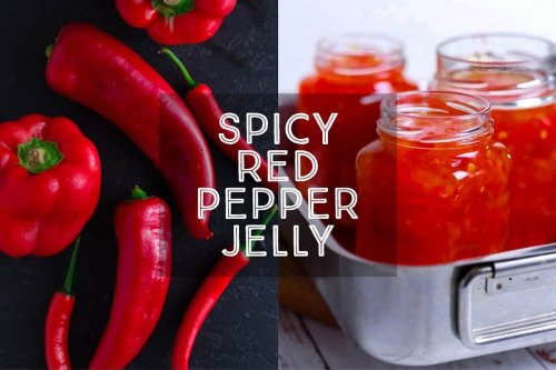 How To Make Spicy Red Pepper Jelly (No Added Pectin) — Days of Jay