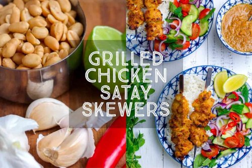 How To Make delicious Grilled Chicken Satay Skewers — Days of Jay