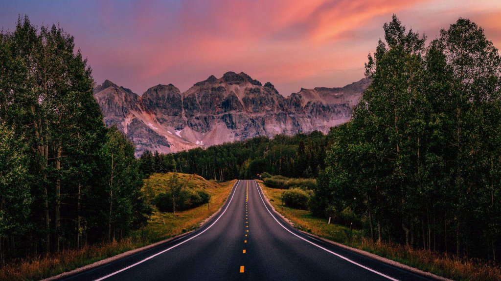 ROAD TRIPS