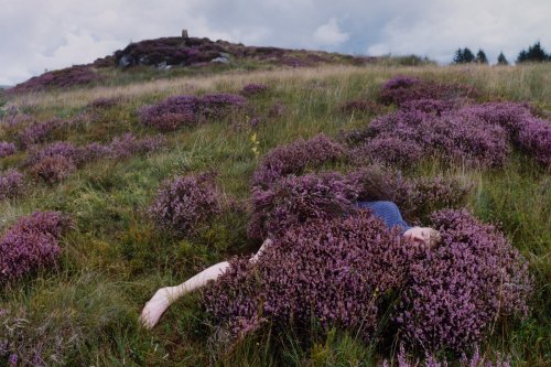 Evocative photos that explore our relationship with nature