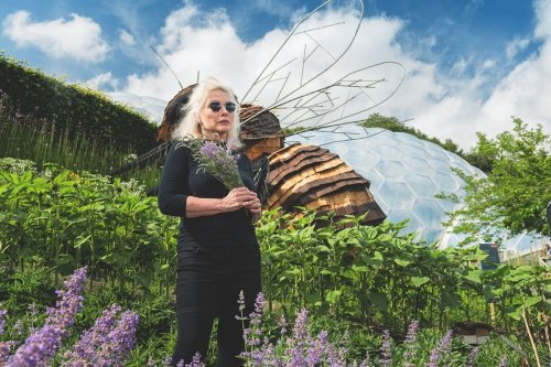 Debbie Harry is fighting to save the bees