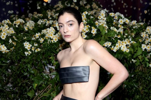Lorde is not a MAGA tradwife for going off birth control