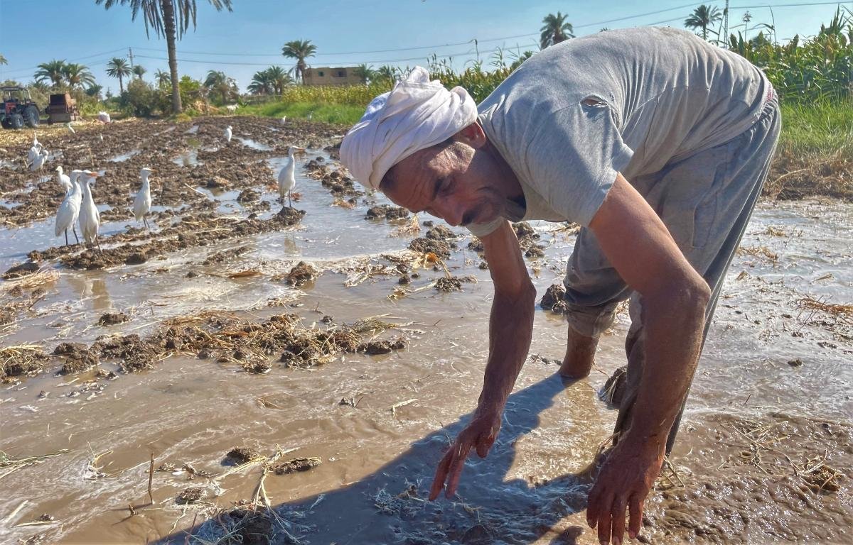 Egypt's farmers fear rising social tensions over scarce water