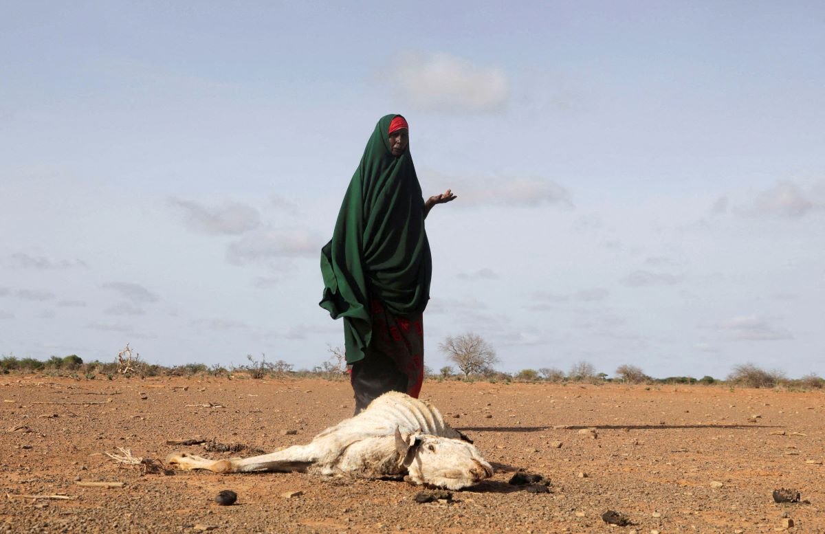 'Act now': IPCC climate report appeals to all to salvage 1.5C goal