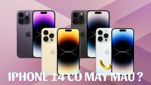 iPhone 14 có mấy màu? Màu nào HOT và bán chạy nhất 2022?