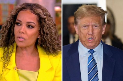 'The View's Sunny Hostin suggests Trump supporters can "sneak" onto jury in his trial by lying and saying they "hate Trump"