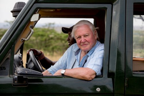 Stream It Or Skip It: ‘David Attenborough: A Life on Our Planet’ on Netflix, a Documentary Mixing Biography with Grim Warnings About Climate Change — and Some Hope