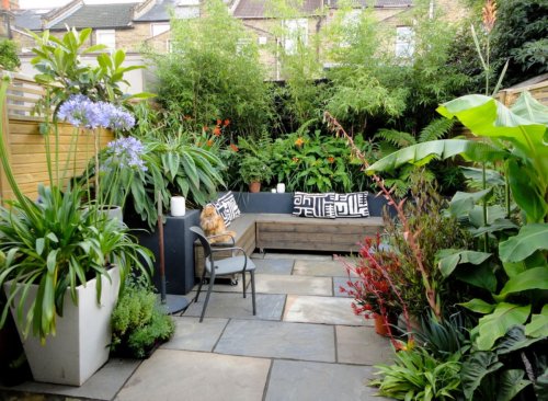 Transform Your Yard into a Garden Oasis