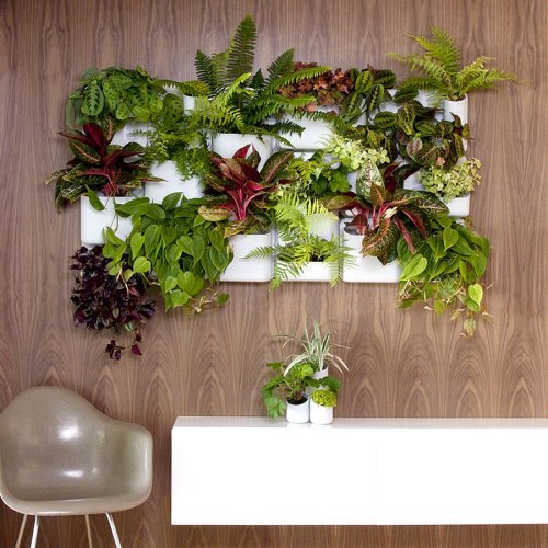 Vertical Goodness: 10 DIY Living Walls Kits for Green Living