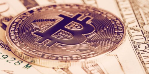 Bitcoin Short Investment Funds Hit All-Time High of $172M: CoinShares - Decrypt
