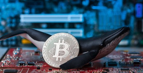 From $5 to $5 Million: Bitcoin Whale Moves BTC Mined 15 Years Ago