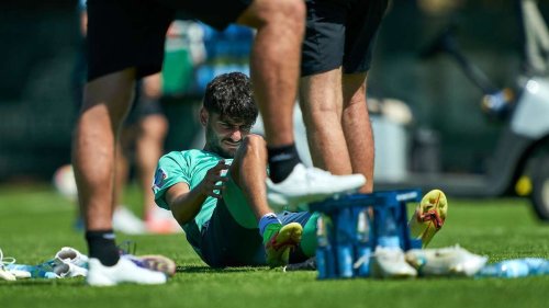 Wegen Wadenproblemen: Dinkci muss kürzertreten - und verpasst erstes Werder-Testspiel