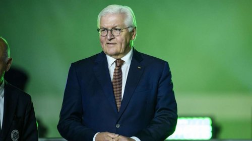 Steinmeier zu Gast beim Länderspiel: Bundespräsident und weitere Politprominenz in Werders Weserstadion