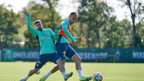 Werder-Aufstellung: Stark statt Pieper - So sieht die Bremer Startelf gegen die TSG Hoffenheim aus