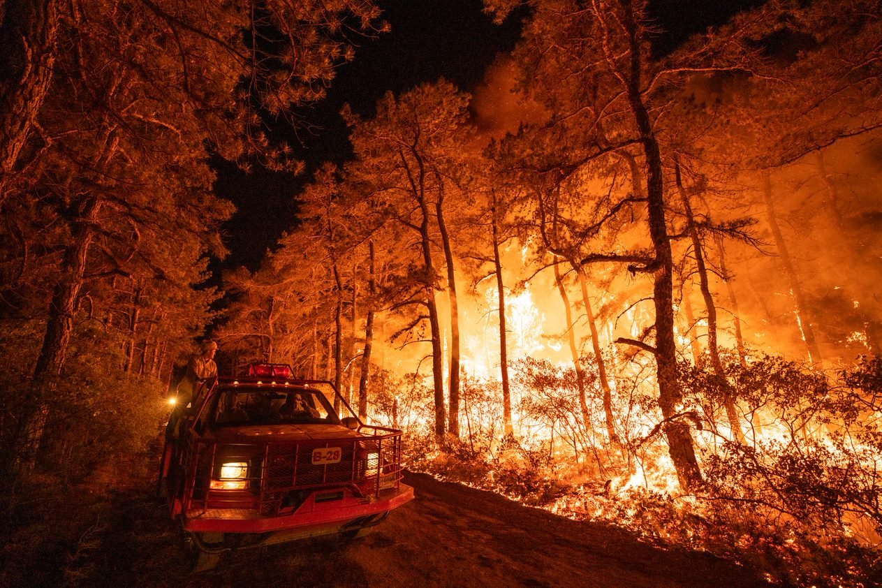 New Jersey sounds alarm on coming wildfire season as drought persists