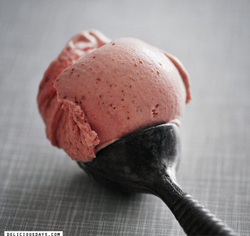 Bye, bye summer – Roasted cinnamon plum ice cream »  delicious:days