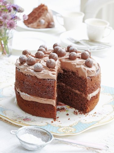 Mary Berry's malted chocolate cake