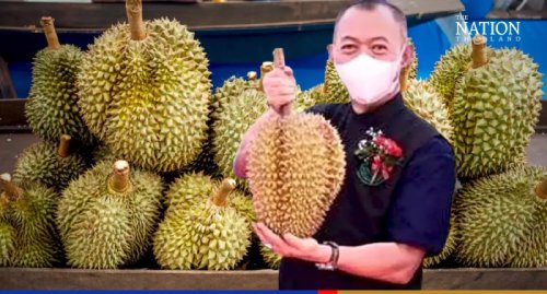 Durian-Menge und -Qualität erhöhen, Thailand