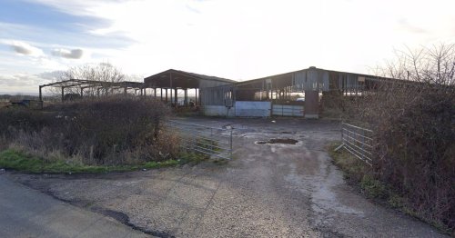 New football centre planned near Derby County training ground