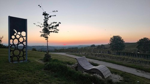 Schönste Weinsicht 2020 Rheinhessen – Sonnenaufgang über Frankfurt