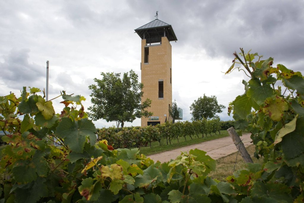 Rheinhessen - cover