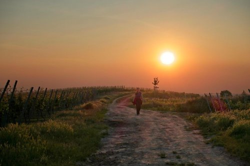 #SunriseHike in der Blauen Stunde zur Hiwweltour Zornheimer Berg