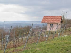 Panoramaweg Wißberg