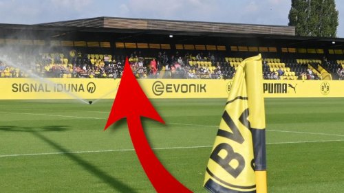Borussia Dortmund: Fan macht BVB besonderen Vorschlag – alle sind hellauf begeistert