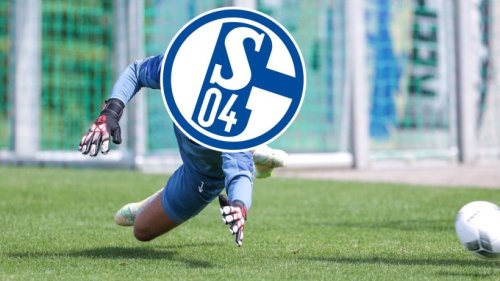 FC Schalke 04: Enthüllt! Dieser Bundesliga-Star ließ S04 abblitzen