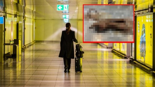 Flughafen Düsseldorf: Frau kommt nach Urlaub zurück – widerlich, was sich in ihrem Koffer verbirgt!