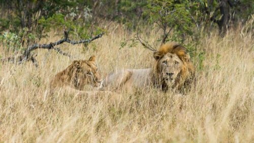Südafrika: Keine Stornogebühren für die Nationalparks